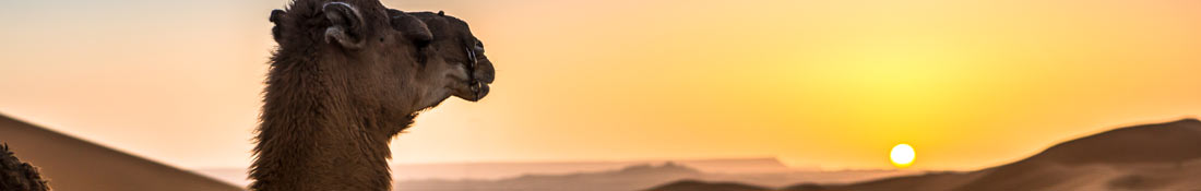 Trip to Africa and travel with Super Club Vacances